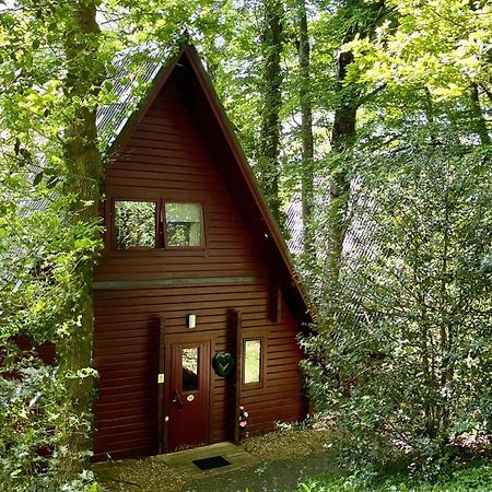 Peaceful Cowslip Lodge - Finlake Spa Resort In Devon Chudleigh ภายนอก รูปภาพ